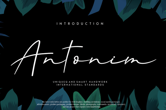 Antonim: A Designer’s Honest Review for Real Projects
