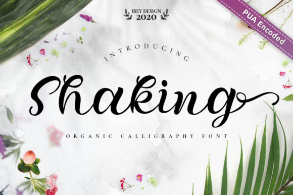 Shaking Typeface: A Designer’s Review
